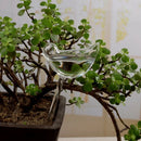 Pássaro de Irrigação para Sistema de Gotejamento